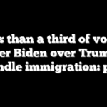 Less than a third of voters prefer Biden over Trump to handle immigration: poll