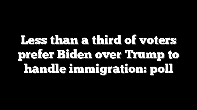 Less than a third of voters prefer Biden over Trump to handle immigration: poll