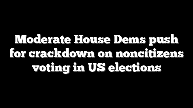 Moderate House Dems push for crackdown on noncitizens voting in US elections