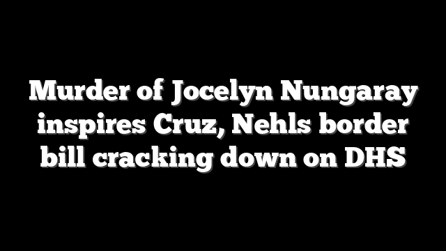 Murder of Jocelyn Nungaray inspires Cruz, Nehls border bill cracking down on DHS