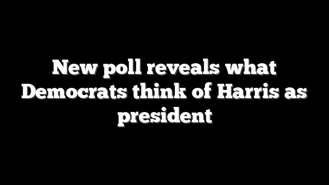 New poll reveals what Democrats think of Harris as president