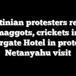 Palestinian protesters release maggots, crickets in Watergate Hotel in protest of Netanyahu visit