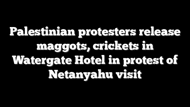 Palestinian protesters release maggots, crickets in Watergate Hotel in protest of Netanyahu visit