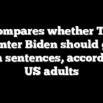 Poll compares whether Trump, Hunter Biden should get prison sentences, according to US adults