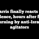 VP Harris finally reacts to DC violence, hours after flag burning by anti-Israel agitators