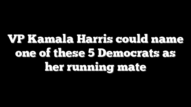 VP Kamala Harris could name one of these 5 Democrats as her running mate