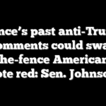 Vance’s past anti-Trump comments could sway on-the-fence Americans to vote red: Sen. Johnson