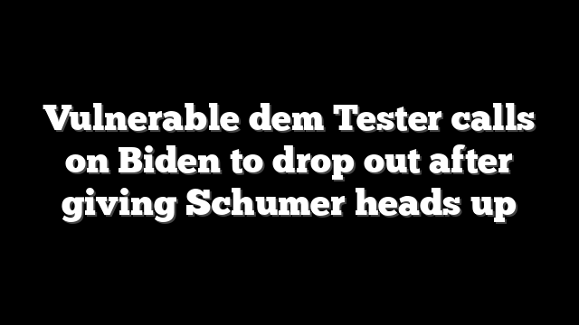 Vulnerable dem Tester calls on Biden to drop out after giving Schumer heads up