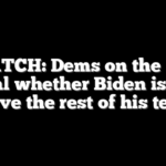 WATCH: Dems on the Hill reveal whether Biden is fit to serve the rest of his term