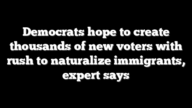 Democrats hope to create thousands of new voters with rush to naturalize immigrants, expert says