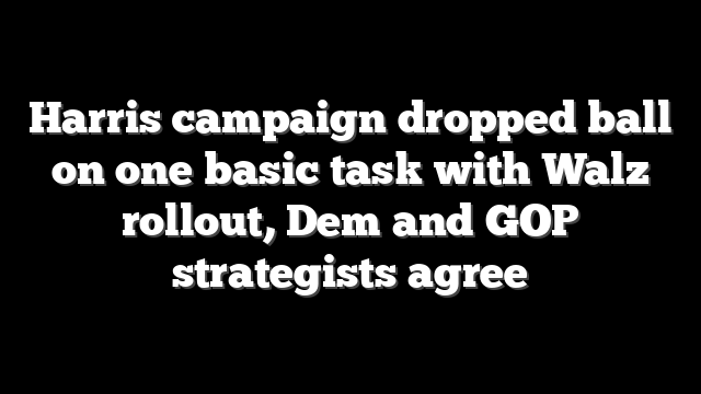 Harris campaign dropped ball on one basic task with Walz rollout, Dem and GOP strategists agree
