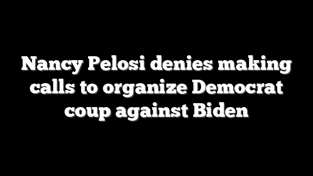 Nancy Pelosi denies making calls to organize Democrat coup against Biden