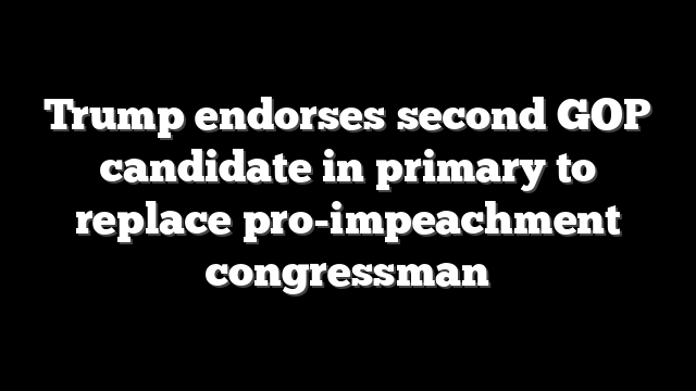 Trump endorses second GOP candidate in primary to replace pro-impeachment congressman