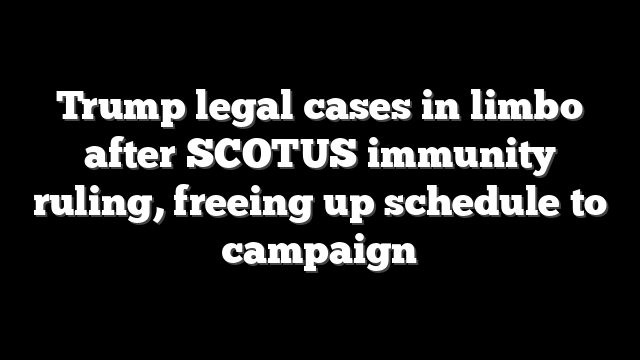 Trump legal cases in limbo after SCOTUS immunity ruling, freeing up schedule to campaign