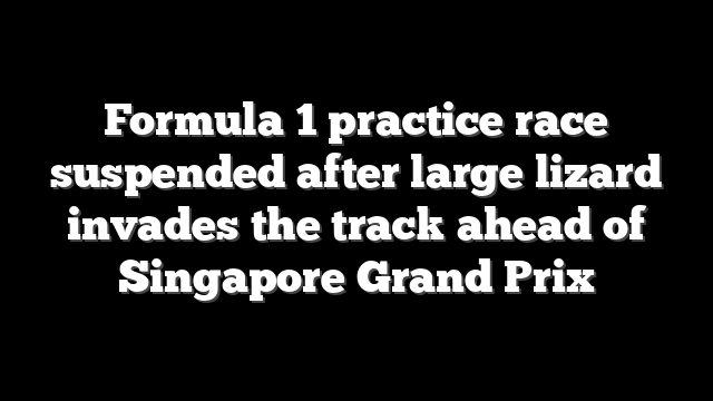 Formula 1 practice race suspended after large lizard invades the track ahead of Singapore Grand Prix