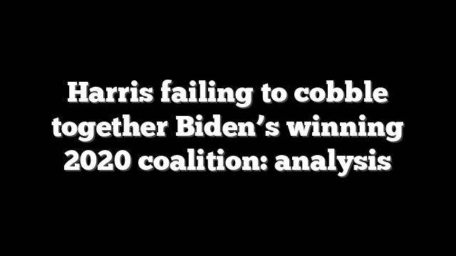 Harris failing to cobble together Biden’s winning 2020 coalition: analysis