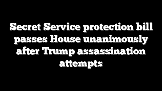 Secret Service protection bill passes House unanimously after Trump assassination attempts
