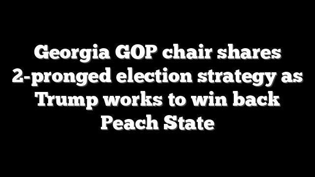 Georgia GOP chair shares 2-pronged election strategy as Trump works to win back Peach State