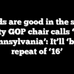 Trends are good in the swing county GOP chair calls ‘Little Pennsylvania’: It’ll ‘be a repeat of ‘16’