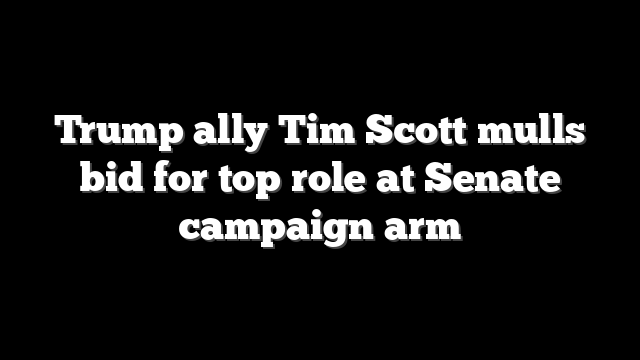 Trump ally Tim Scott mulls bid for top role at Senate campaign arm