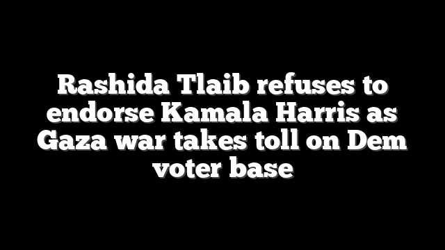 Rashida Tlaib refuses to endorse Kamala Harris as Gaza war takes toll on Dem voter base