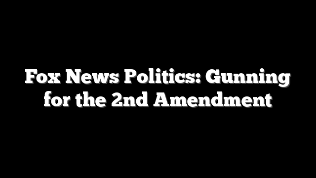 Fox News Politics: Gunning for the 2nd Amendment
