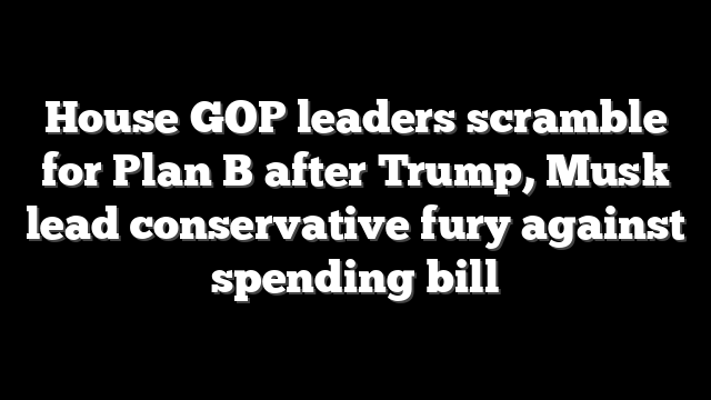 House GOP leaders scramble for Plan B after Trump, Musk lead conservative fury against spending bill