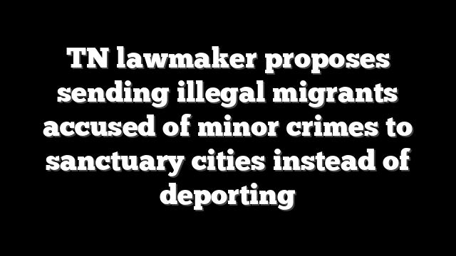 TN lawmaker proposes sending illegal migrants accused of minor crimes to sanctuary cities instead of deporting