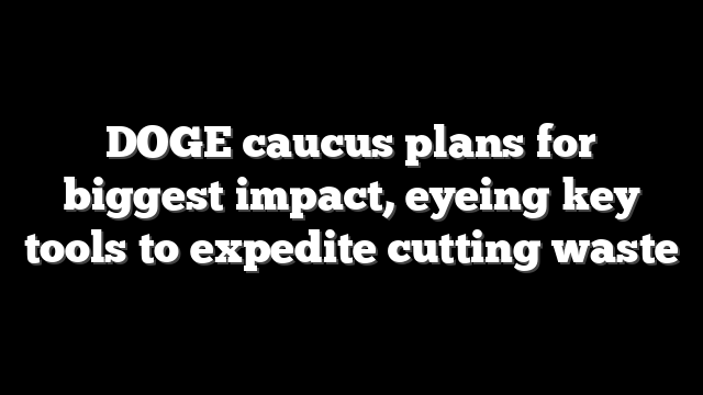 DOGE caucus plans for biggest impact, eyeing key tools to expedite cutting waste