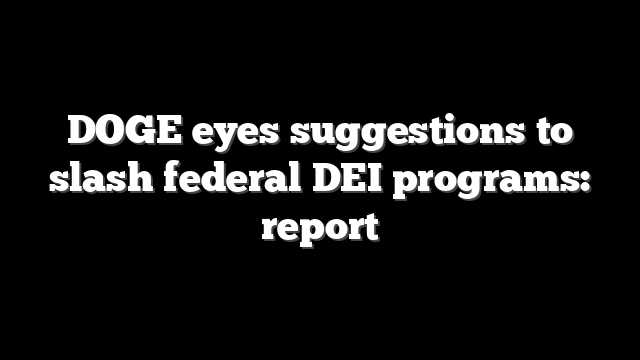 DOGE eyes suggestions to slash federal DEI programs: report