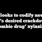 Dem looks to codify new AG Bondi’s desired crackdown on ‘zombie drug’ xylazine