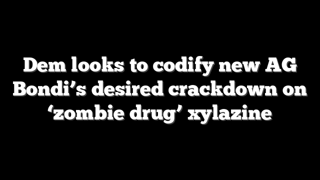 Dem looks to codify new AG Bondi’s desired crackdown on ‘zombie drug’ xylazine