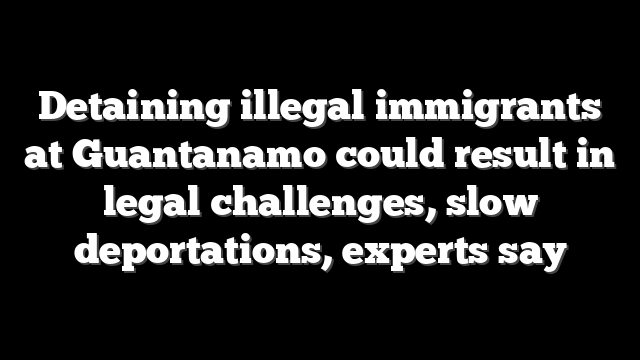 Detaining illegal immigrants at Guantanamo could result in legal challenges, slow deportations, experts say
