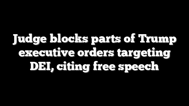 Judge blocks parts of Trump executive orders targeting DEI, citing free speech