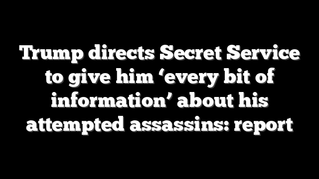 Trump directs Secret Service to give him ‘every bit of information’ about his attempted assassins: report