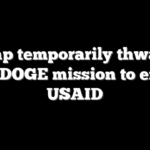 Trump temporarily thwarted in DOGE mission to end USAID