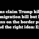 Dems claim Trump killed immigration bill but his success on the border proves he had the right idea: Expert