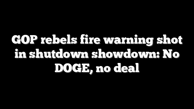 GOP rebels fire warning shot in shutdown showdown: No DOGE, no deal