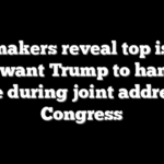 Lawmakers reveal top issues they want Trump to hammer home during joint address to Congress