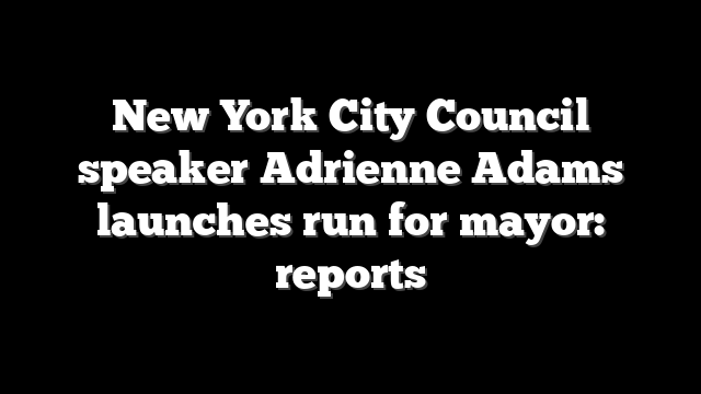 New York City Council speaker Adrienne Adams launches run for mayor: reports