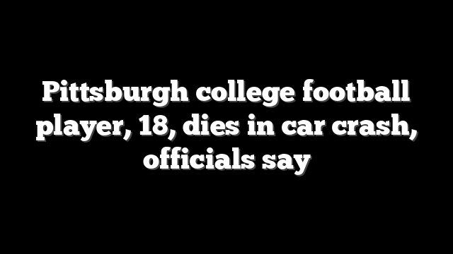 Pittsburgh college football player, 18, dies in car crash, officials say