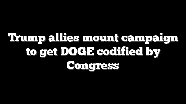 Trump allies mount campaign to get DOGE codified by Congress