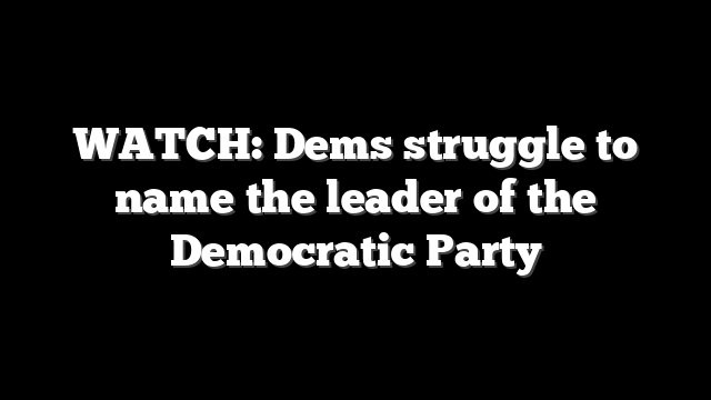 WATCH: Dems struggle to name the leader of the Democratic Party
