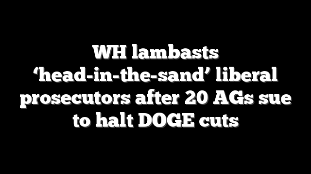WH lambasts ‘head-in-the-sand’ liberal prosecutors after 20 AGs sue to halt DOGE cuts
