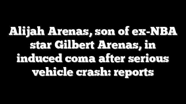 Alijah Arenas, son of ex-NBA star Gilbert Arenas, in induced coma after serious vehicle crash: reports