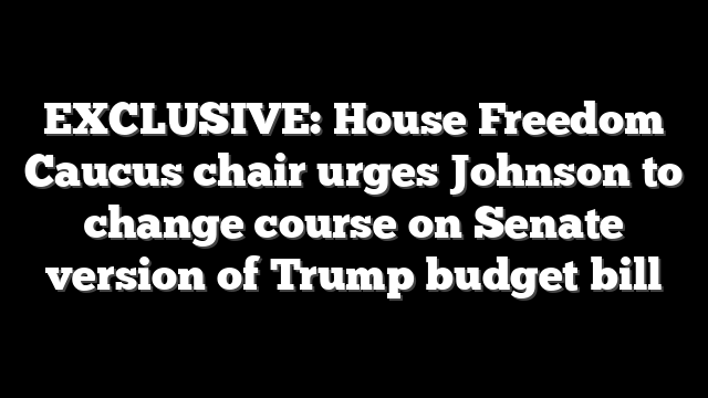 EXCLUSIVE: House Freedom Caucus chair urges Johnson to change course on Senate version of Trump budget bill