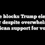 Judge blocks Trump election order despite overwhelming American support for voter ID