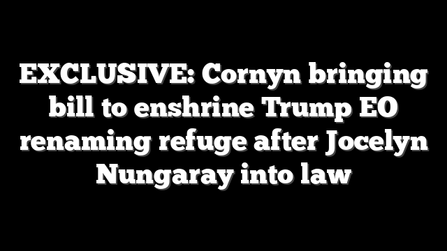 EXCLUSIVE: Cornyn bringing bill to enshrine Trump EO renaming refuge after Jocelyn Nungaray into law
