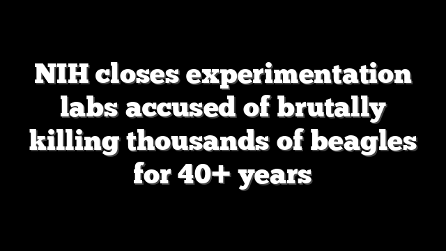 NIH closes experimentation labs accused of brutally killing thousands of beagles for 40+ years