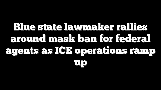 Blue state lawmaker rallies around mask ban for federal agents as ICE operations ramp up